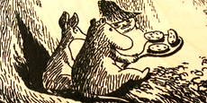 Notebook Moonlight Moomin plywood