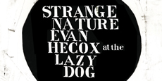 Strange Nature - Une exposition d'Evan Hecox
