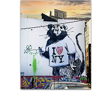 Street Art New York