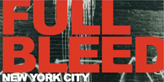 Full Bleed : new york city skateboard photography
