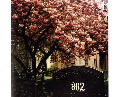 Polaroids : From New-York to New-Orleans