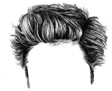 Whose Hair ?