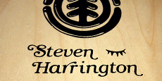Skateboard Element by Steven Harrington